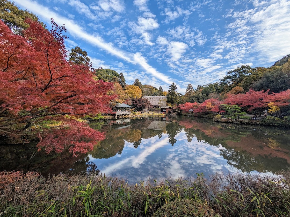 秋日湖畔紅葉倒影大景