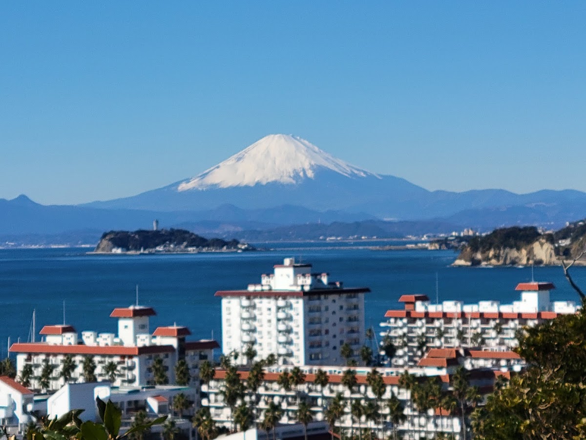 湘南逗子瑪莉娜海之驛(しょうなん・逗子マリーナ海の駅) 實景照片 7