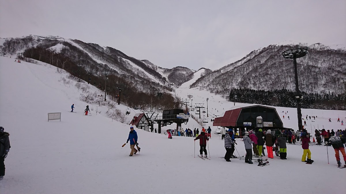 白馬科爾蒂納滑雪場(白馬コルチナスキー場) 實景照片 3