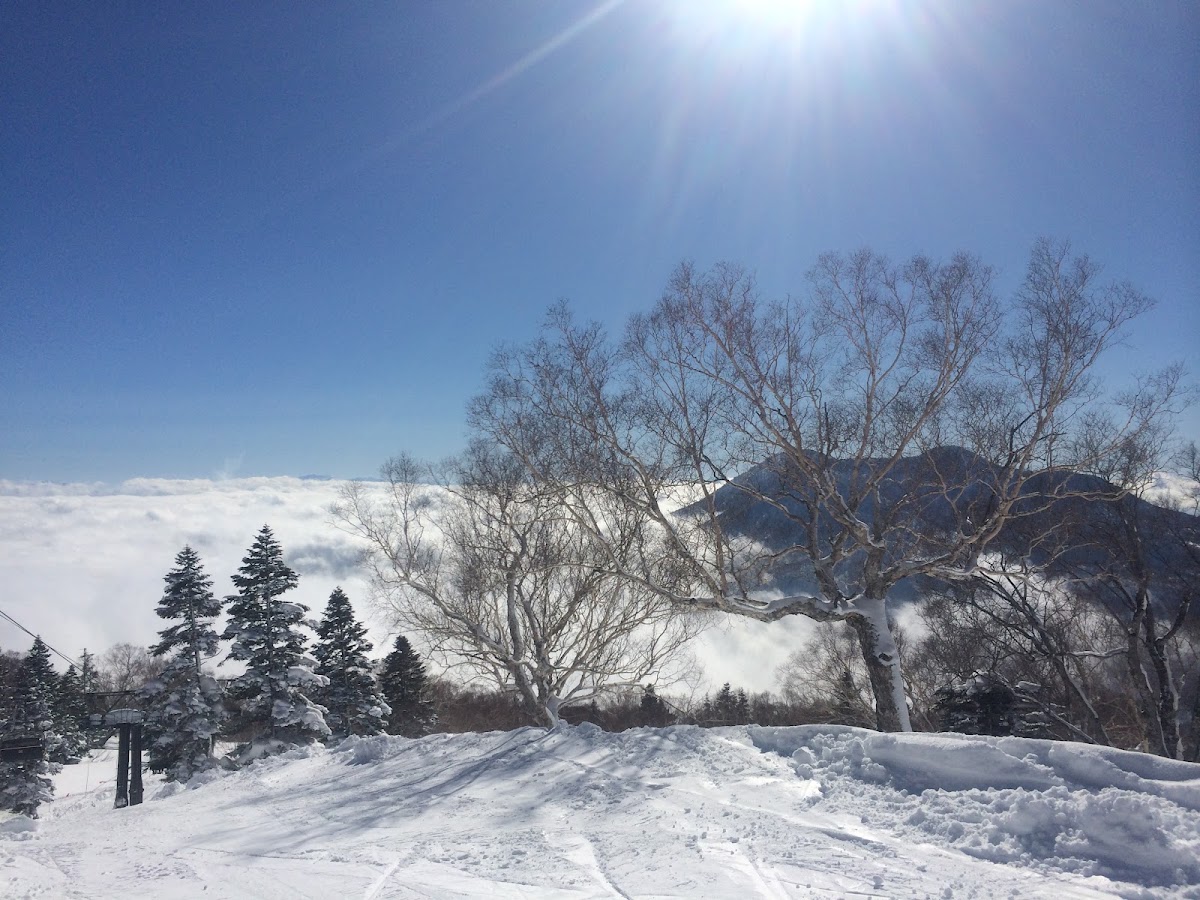 妙高杉之原滑雪場（妙高杉ノ原スキー場） 實景照片 8