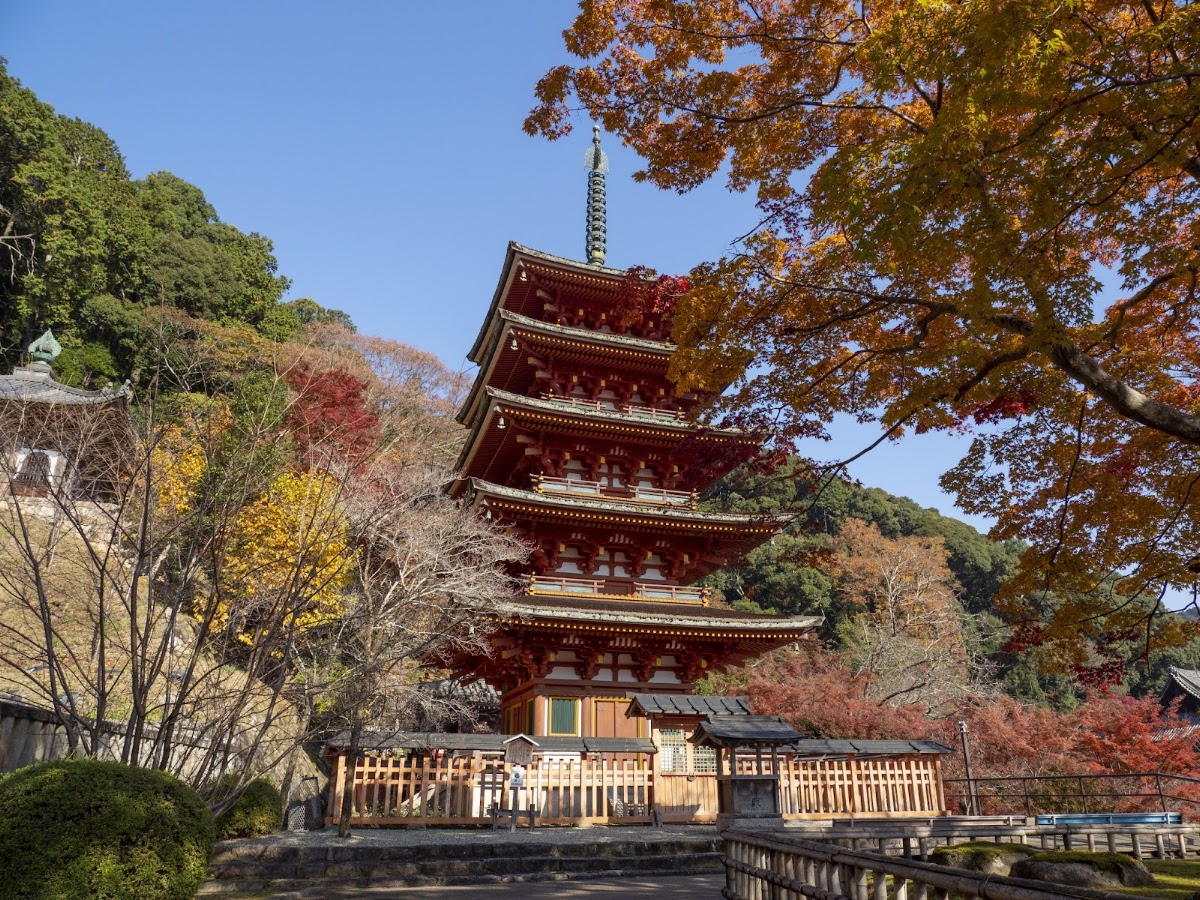 總本山長谷寺(総本山長谷寺) 實景照片 7