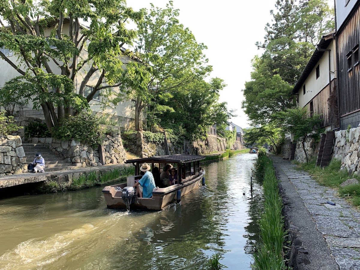 運河中的遊船與綠樹