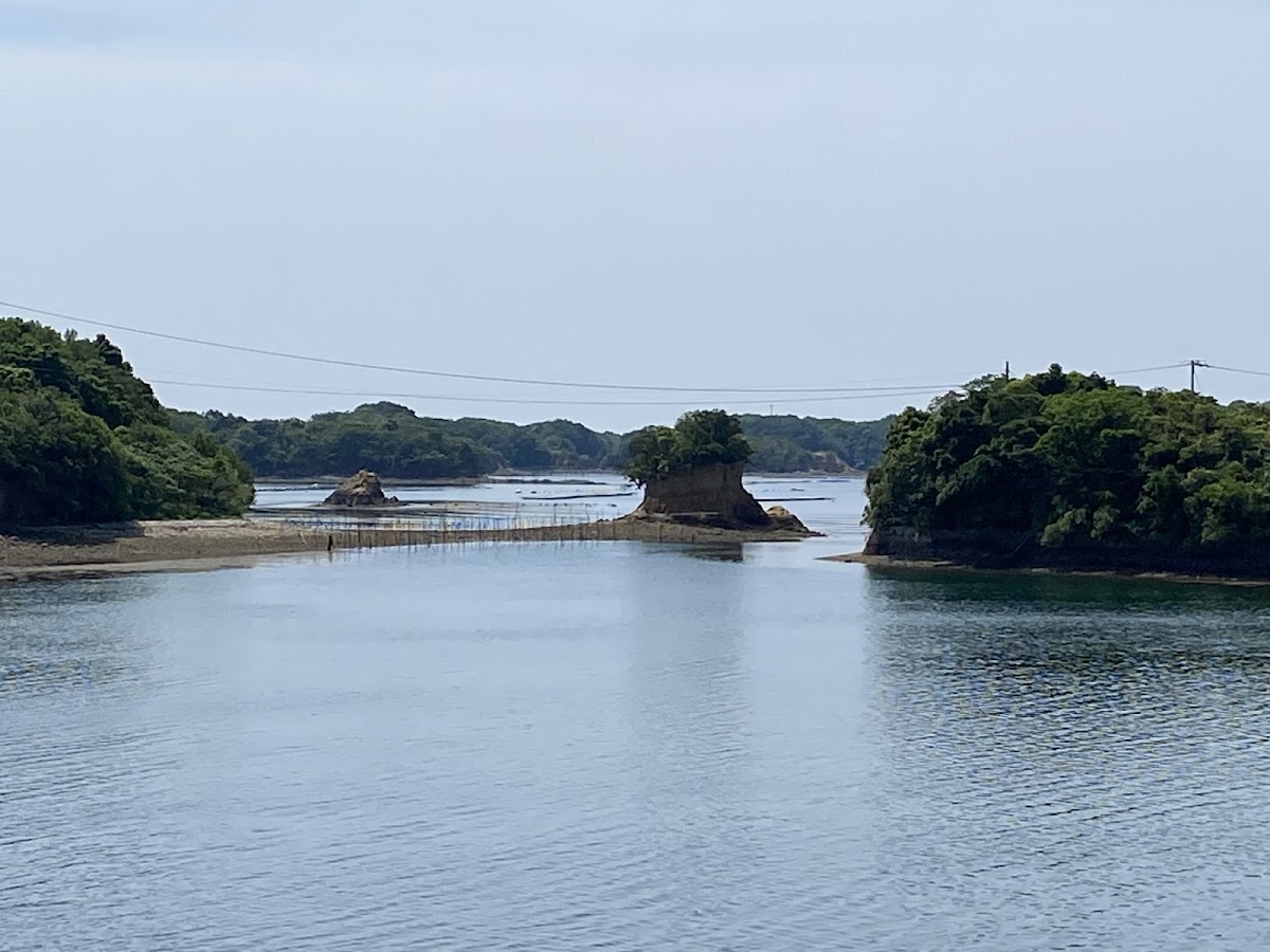 賢島西班牙遊覽船(賢島エスパーニャクルーズ) 實景照片 6