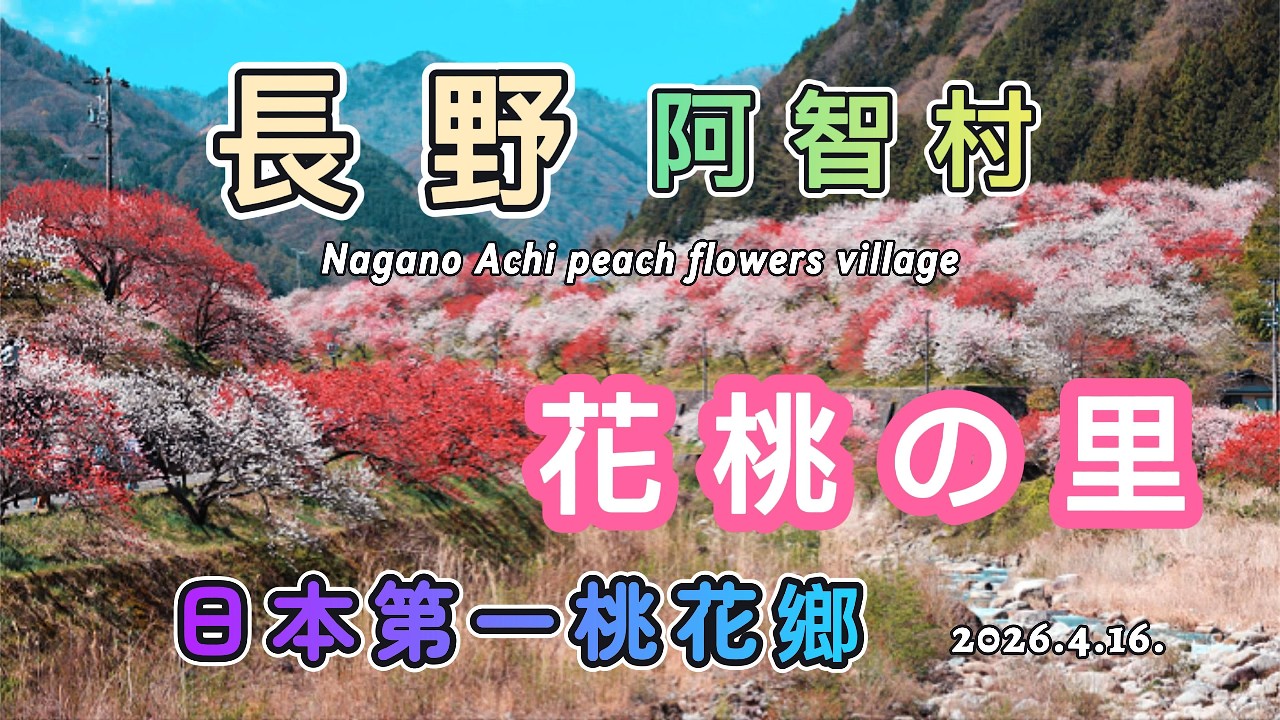 長野 阿智村「花桃の里」日本第一桃花鄉∣昼神温泉優質溫泉旅館 癒楽の宿 清風苑∣【2026 日本中部賞花自駕之旅 ─ 長野桃花篇】