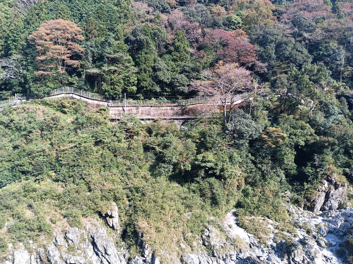 道之驛 大步危(道の駅 大歩危) 實景照片 8
