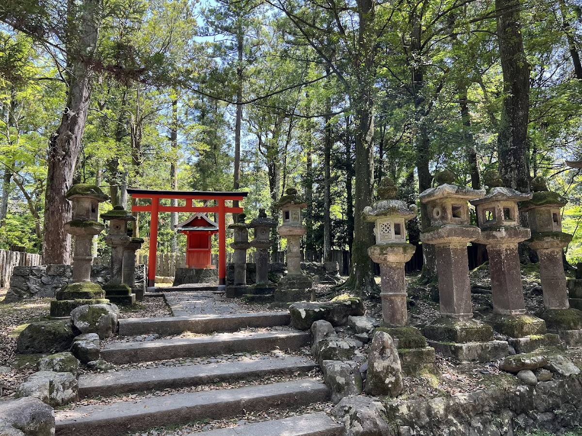 春日大社 實景照片 5