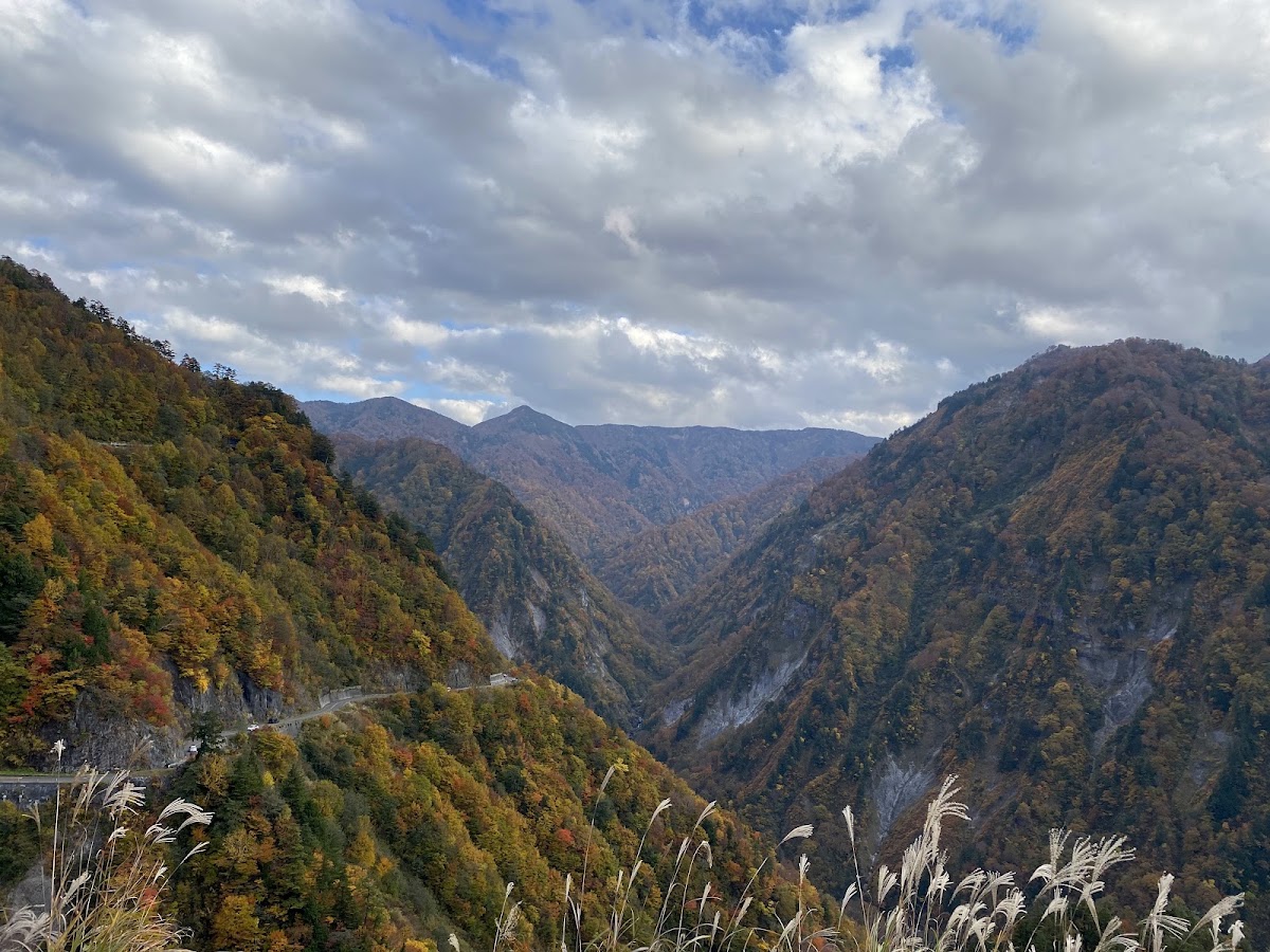 遠眺山谷秋色與公路
