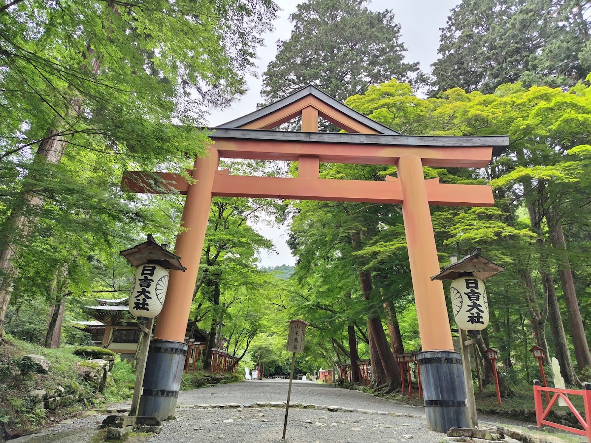 綠樹環繞下的紅色山王鳥居
