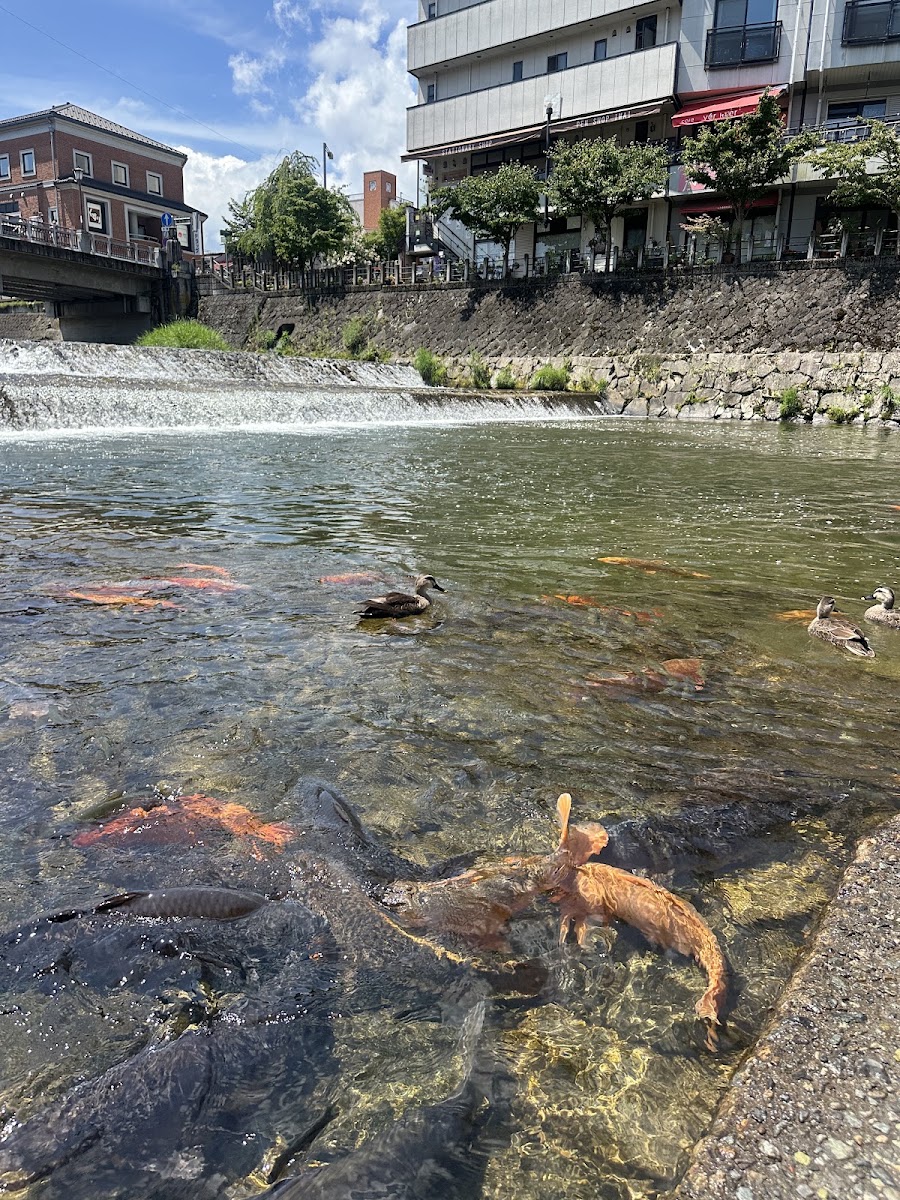 飛驒高山 宮川早市(飛騨高山 宮川朝市) 實景照片 3
