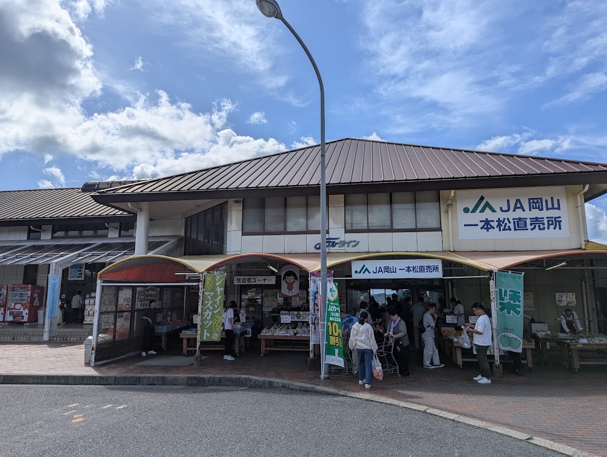 道之驛 一本松展望園(道の駅 一本松展望園) 實景照片 4