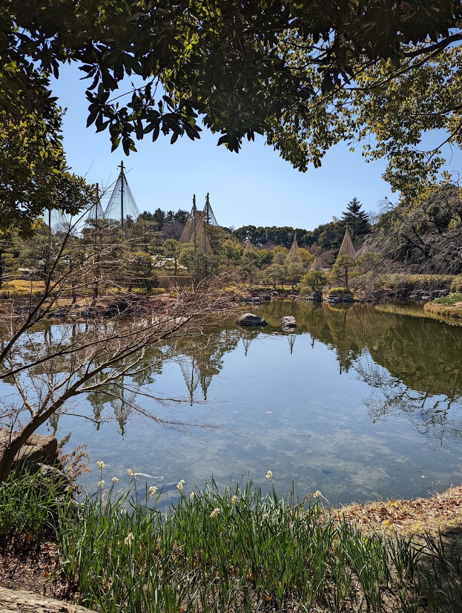 白鳥庭園 實景照片 9