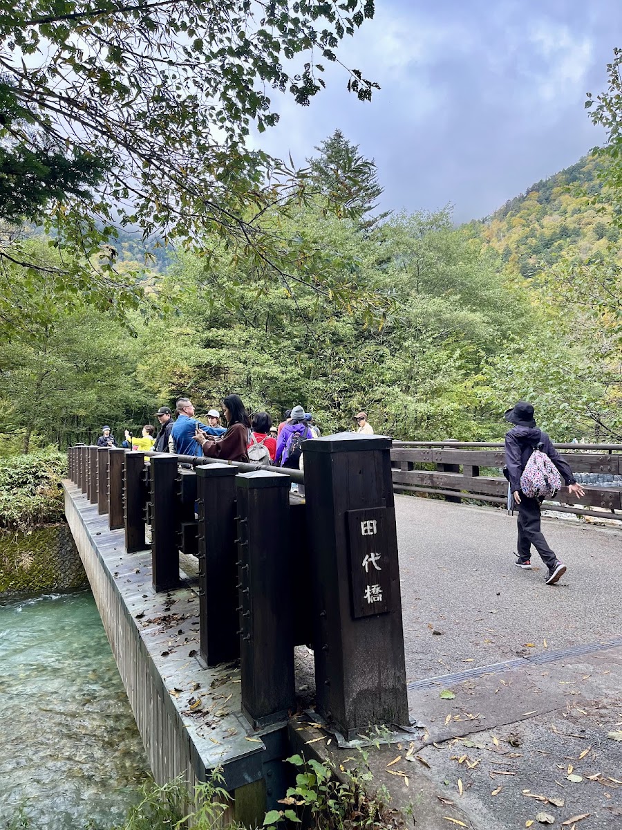 遊客行經田代橋的木橋景觀