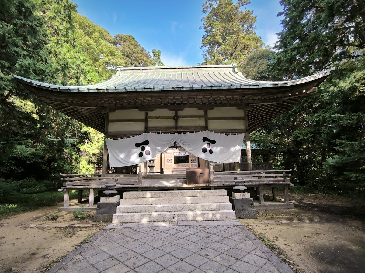 林木環繞的神社本殿建築