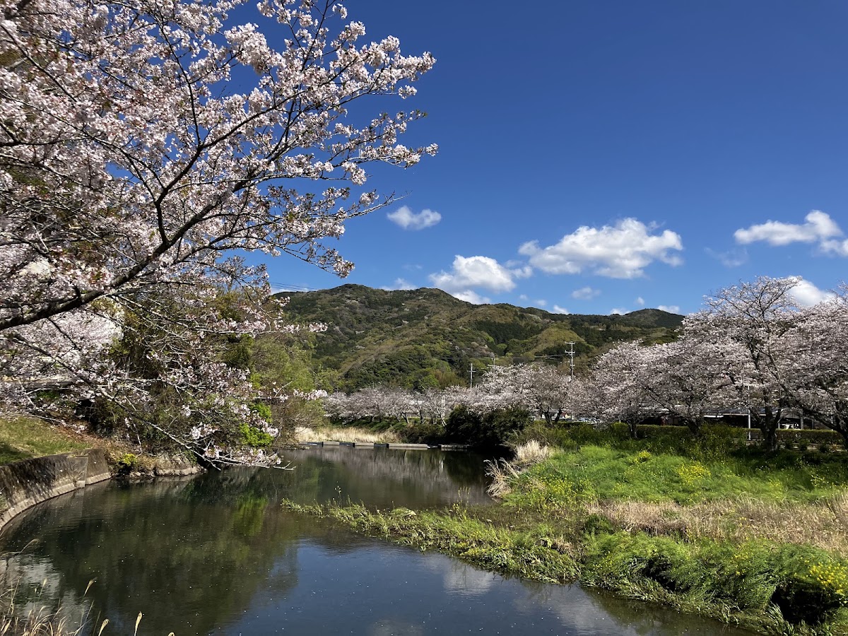 道之驛 花之三聖苑伊豆松崎(道の駅 花の三聖苑伊豆松崎) 實景照片 7