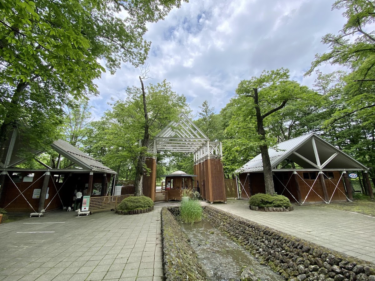 輕井澤塔利亞森（軽井沢タリアセン） 實景照片 10