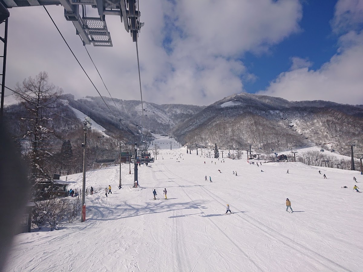 白馬五龍滑雪場(エイブル白馬五竜) 實景照片 7