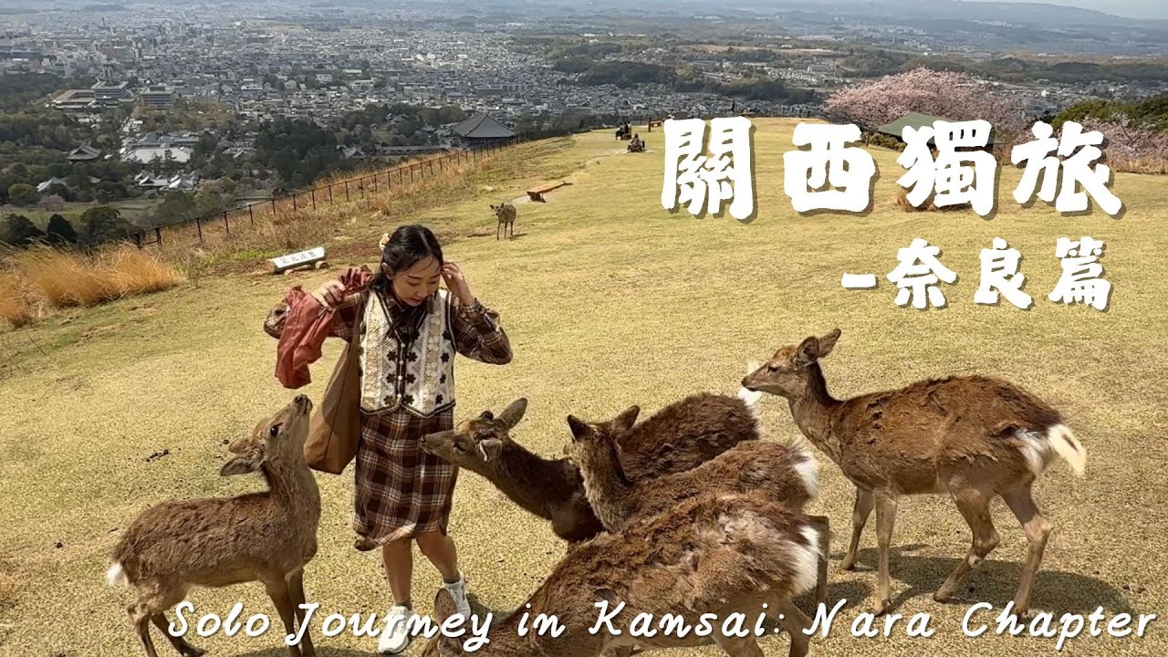 【關西獨旅】奈良一日遊路線|若草山必來!與東大寺大佛&春日大社鹿群初遇✨