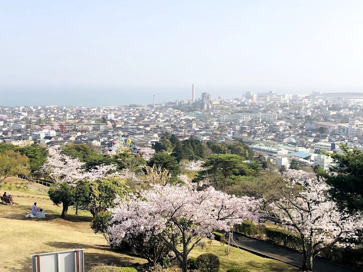 公園高處俯瞰市區與海景