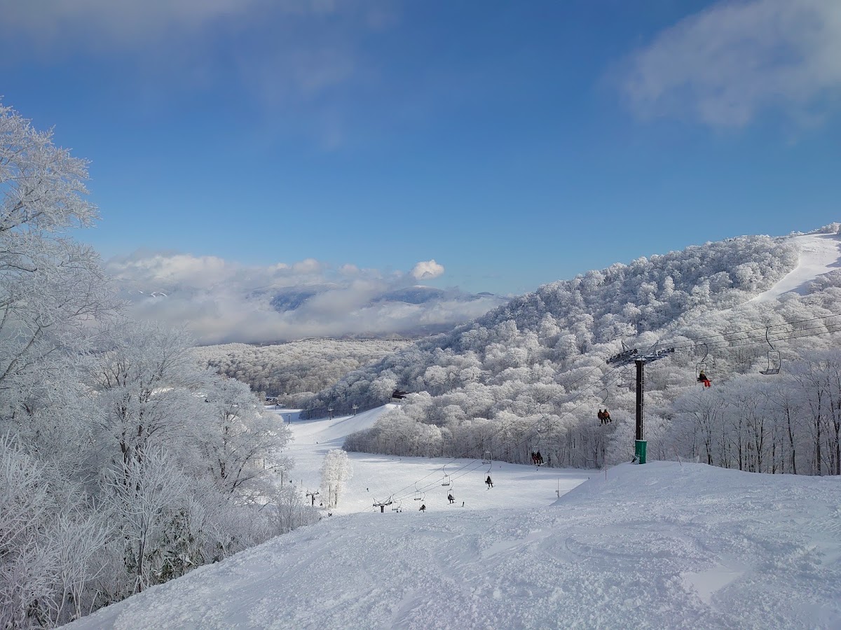 星野貓魔山滑雪場(星野リゾート ネコマ マウンテン) 實景照片 3