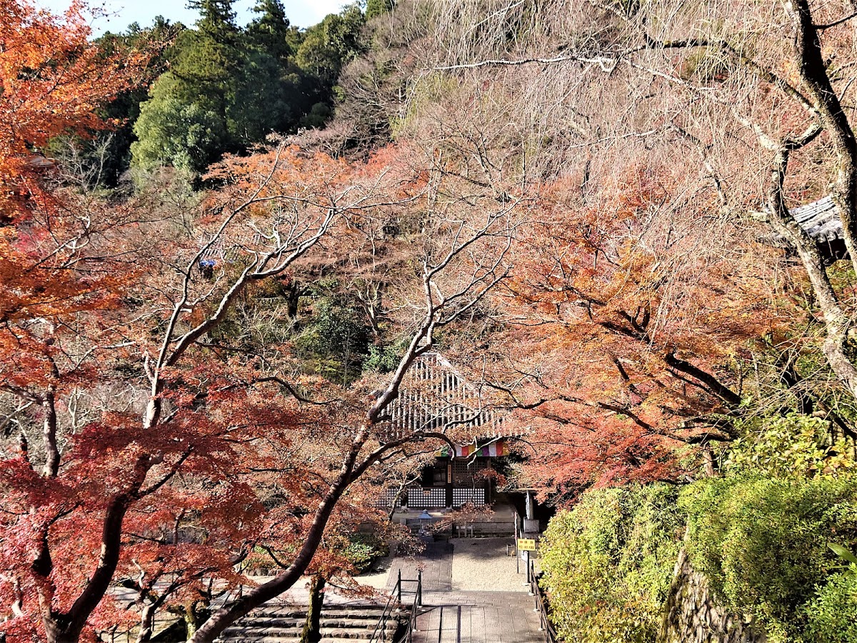 總本山長谷寺(総本山長谷寺) 實景照片 5