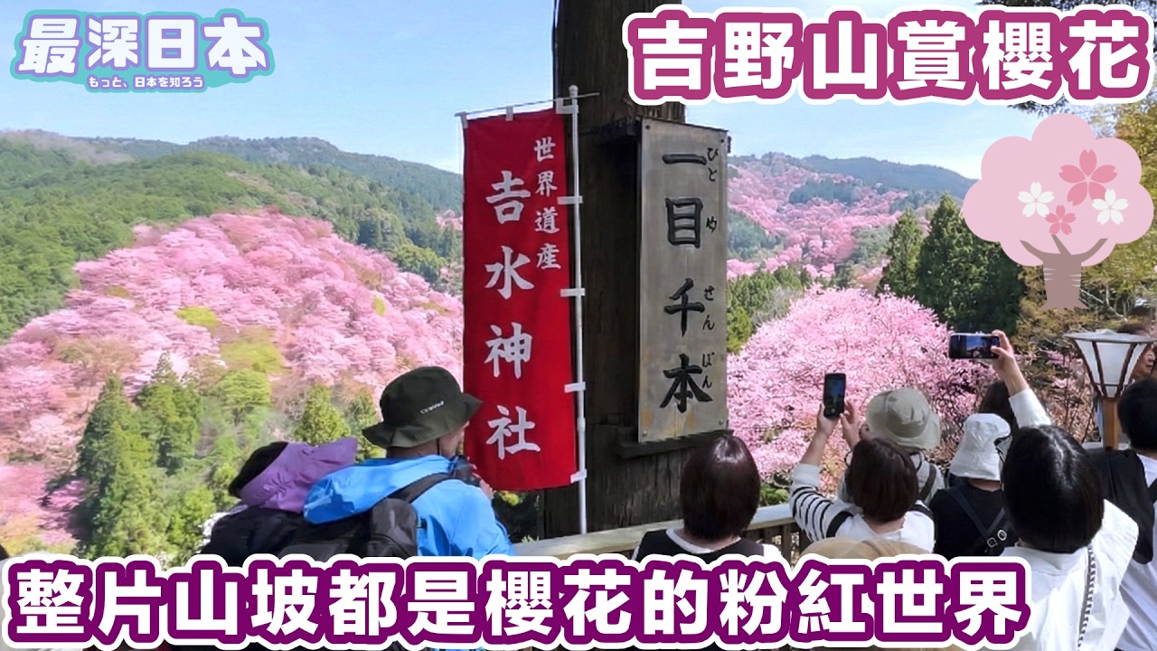 日本賞櫻花人氣之地 奈良縣吉野山遍山都是櫻花樹 | 世界遺產紀伊山地的聖地及朝聖路看南朝皇居 【最深日本】【世界遺產真正價值】