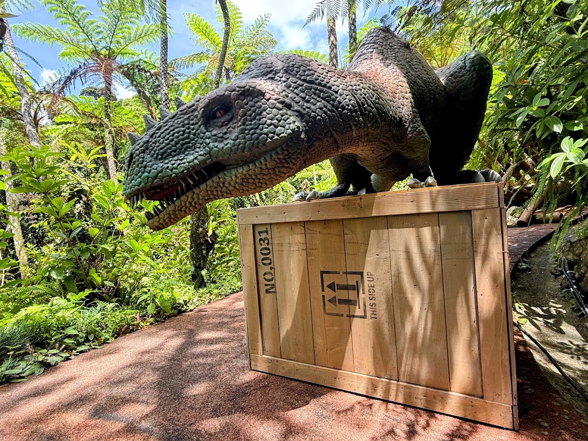 DINO恐龍PARK山原亞熱帶之森(DINO恐竜PARK やんばる亜熱帯の森) 實景照片 8