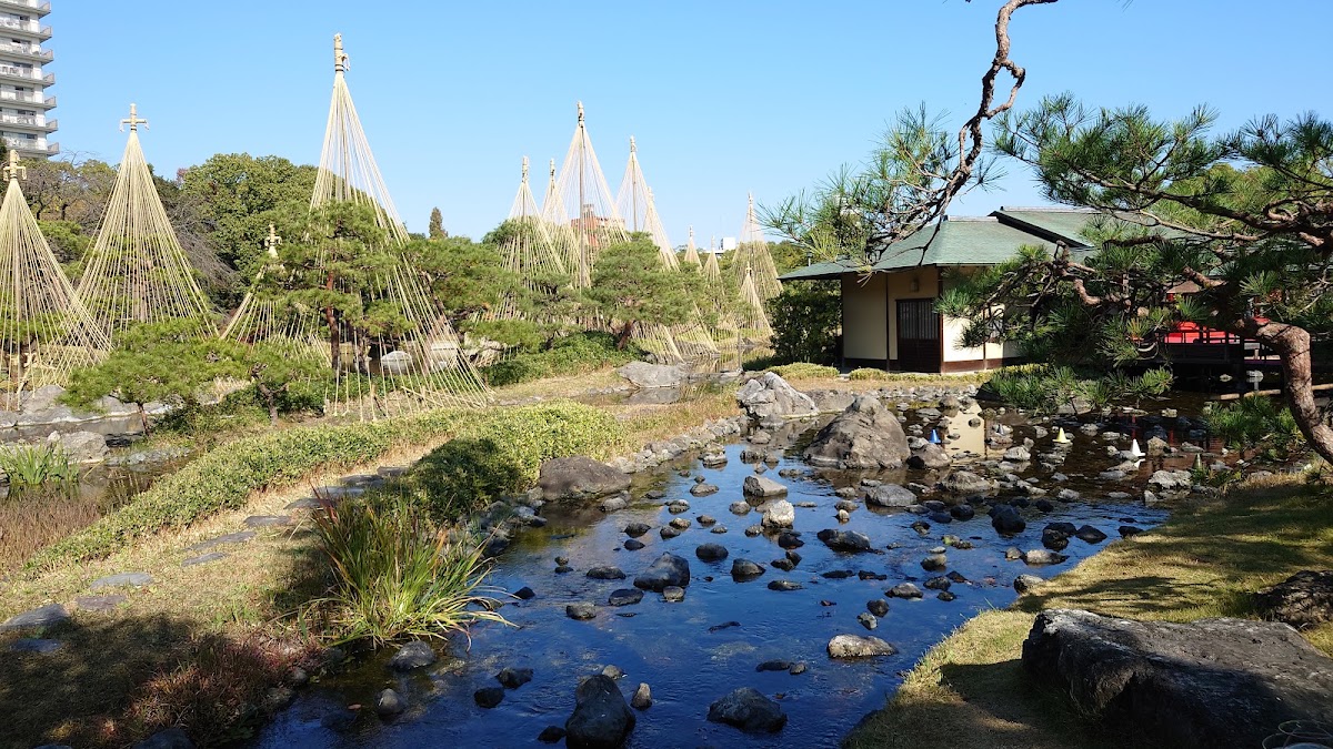 白鳥庭園 實景照片 5