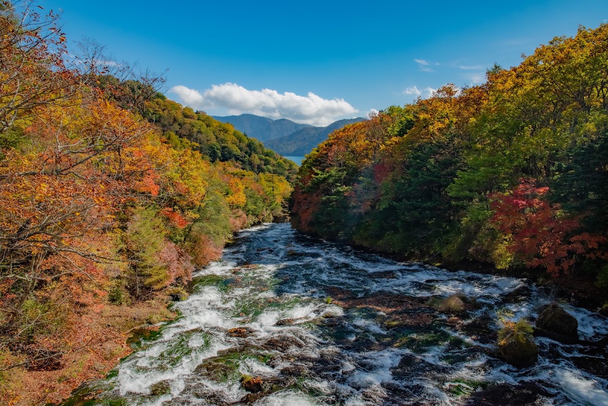 橫式瀑布河道與遠山秋景大景