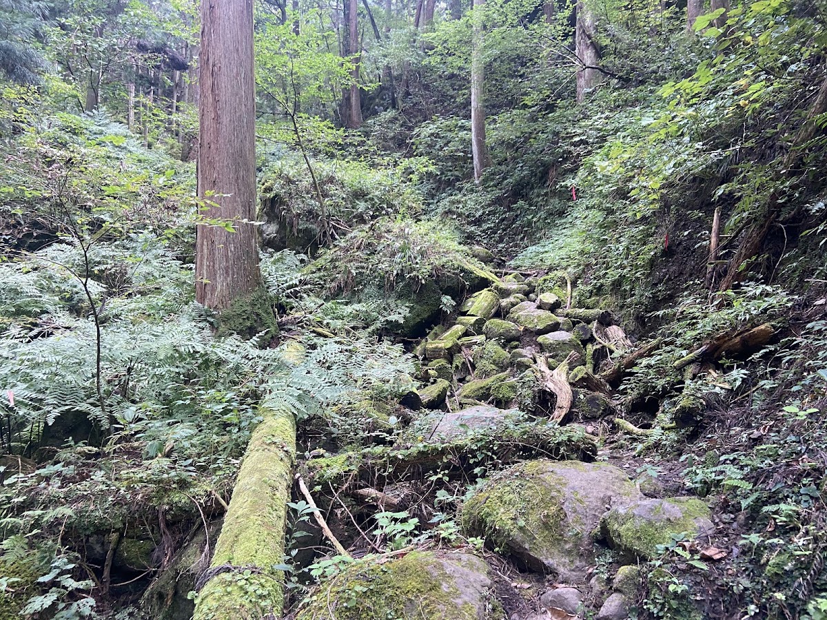 一乘谷城(一乗谷城) 實景照片 7