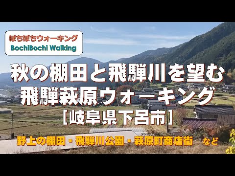 #22 (上呂駅発→飛騨萩原駅着)秋の棚田と飛騨川を望む　飛騨萩原ウォーキング【JR東海さわやかウォーキング　2021秋：11/3実施コース】(21/11/3：岐阜県下呂市・家族向・約7.4km)