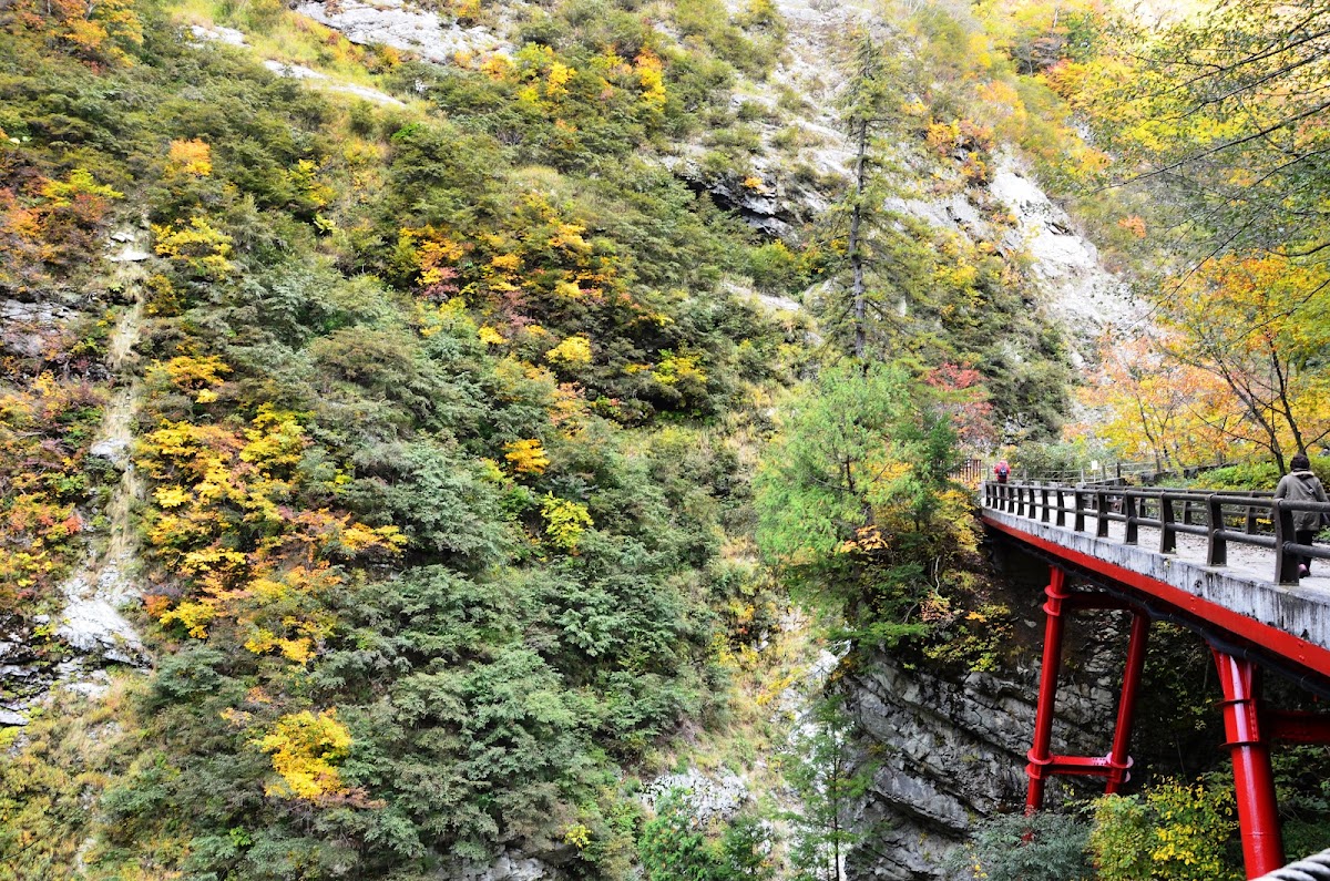 黑部峽谷鐵道 欅平站(欅平駅) 實景照片 10