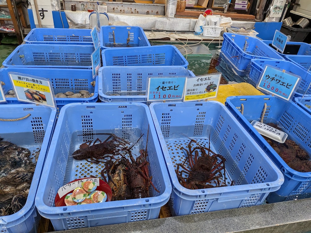 道之驛 吉海生生館(道の駅 よしうみいきいき館) 實景照片 10