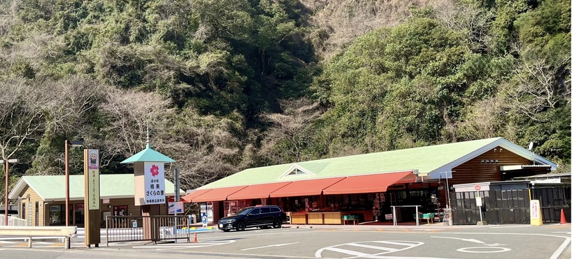 道之驛 根來櫻之里（道の駅 根来さくらの里） 實景照片 1