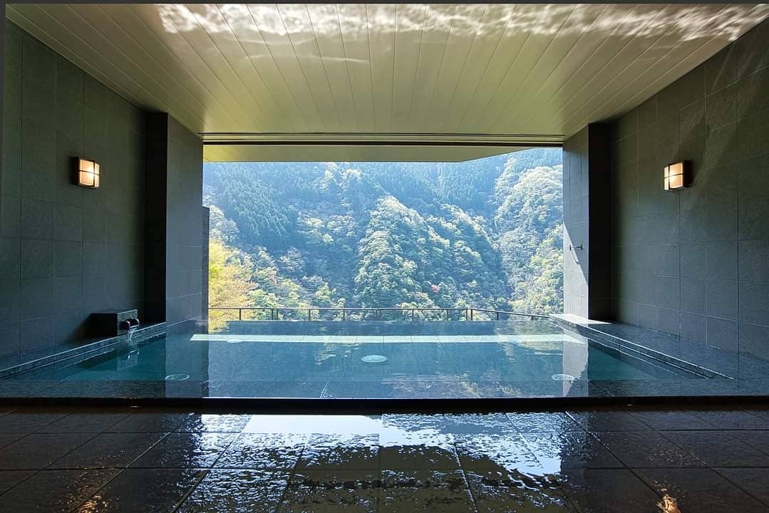 祖谷溫泉露天風呂眺望山景