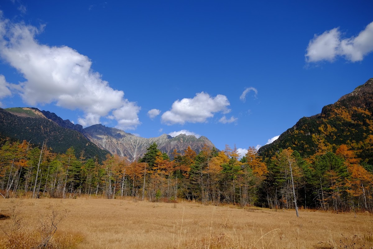 藍天白雲下金黃草原與群山
