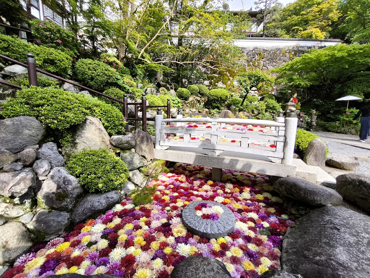 鋪滿繽紛花朵的小橋與水池景觀