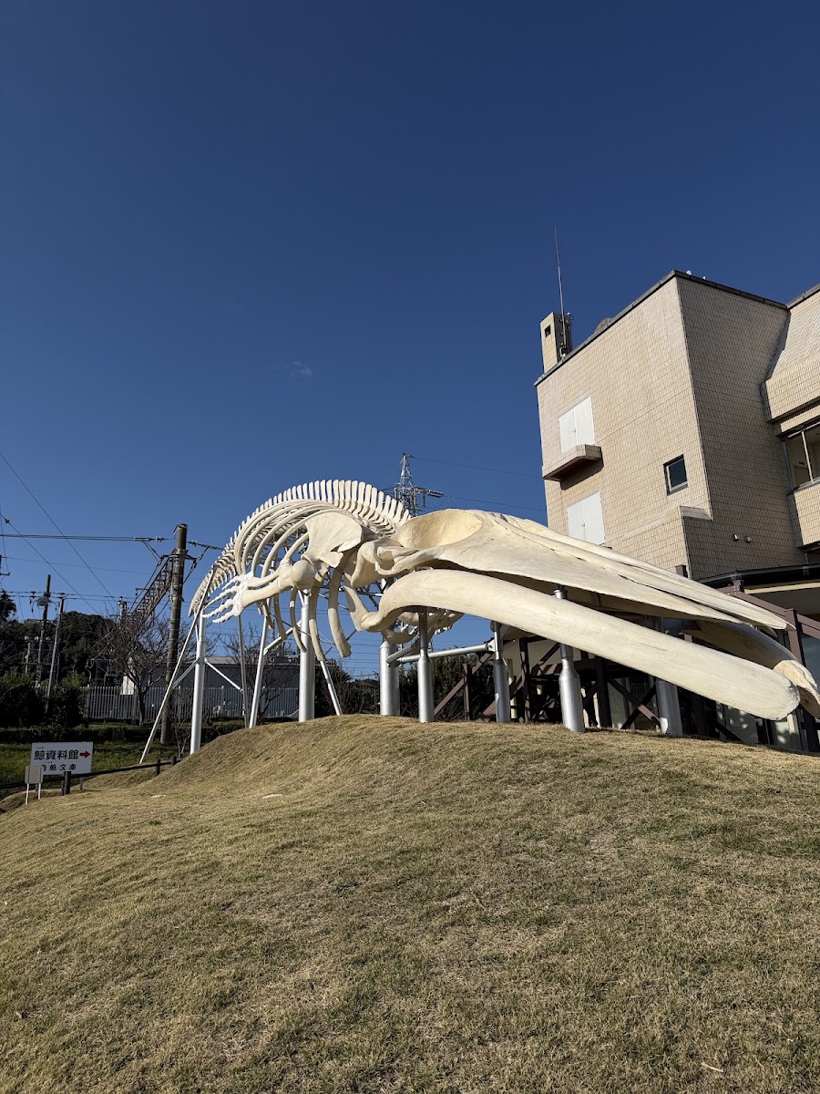 道之驛 和田浦 WA・O！（道の駅 和田浦 WA・O！） 實景照片 4