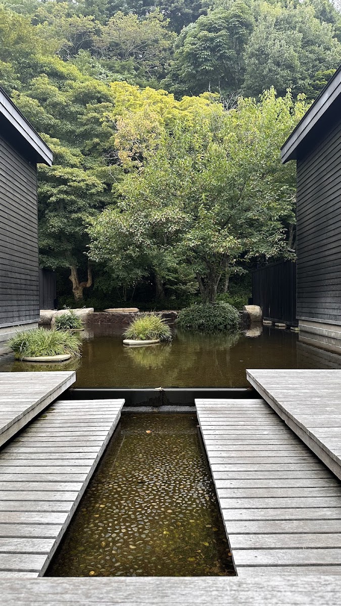 星野溫泉 蜻蜓之湯（星野温泉 トンボの湯） 實景照片 5