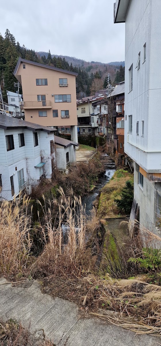 野澤溫泉(野沢温泉) 實景照片 9