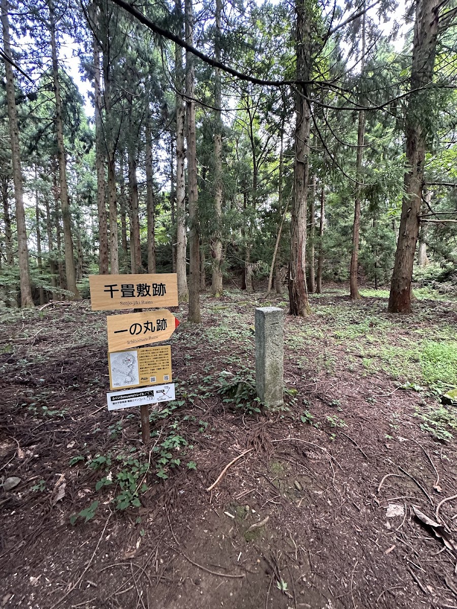一乘谷城(一乗谷城) 實景照片 4