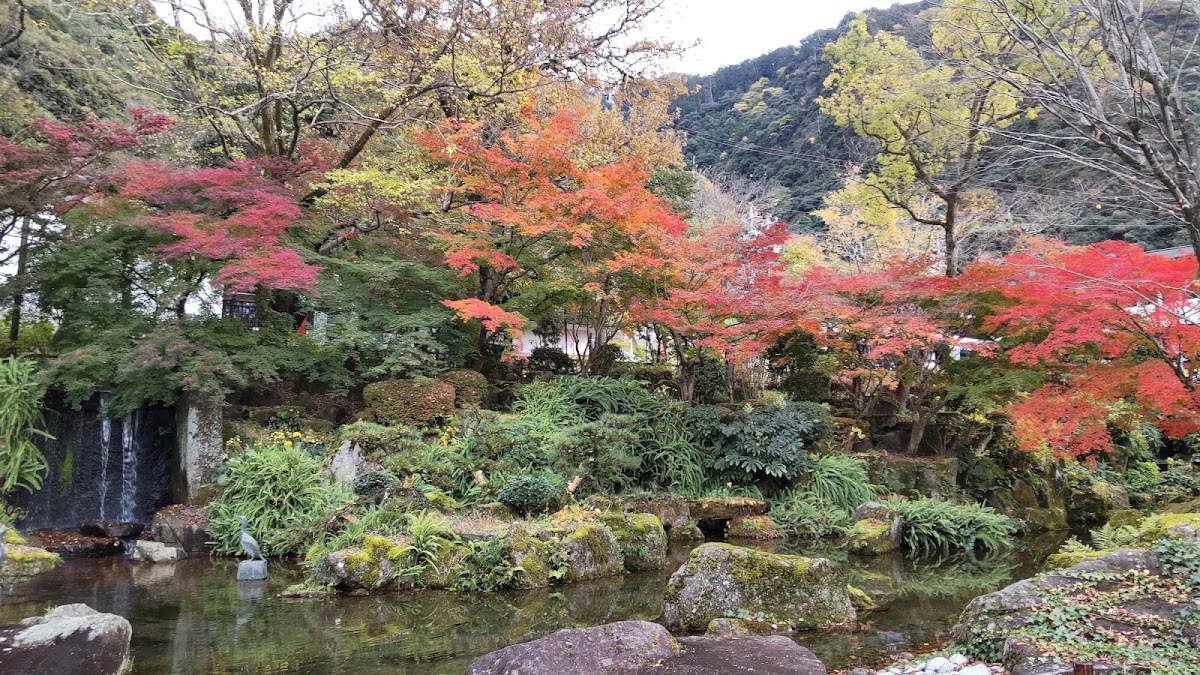 戶外日式庭園秋景與水池