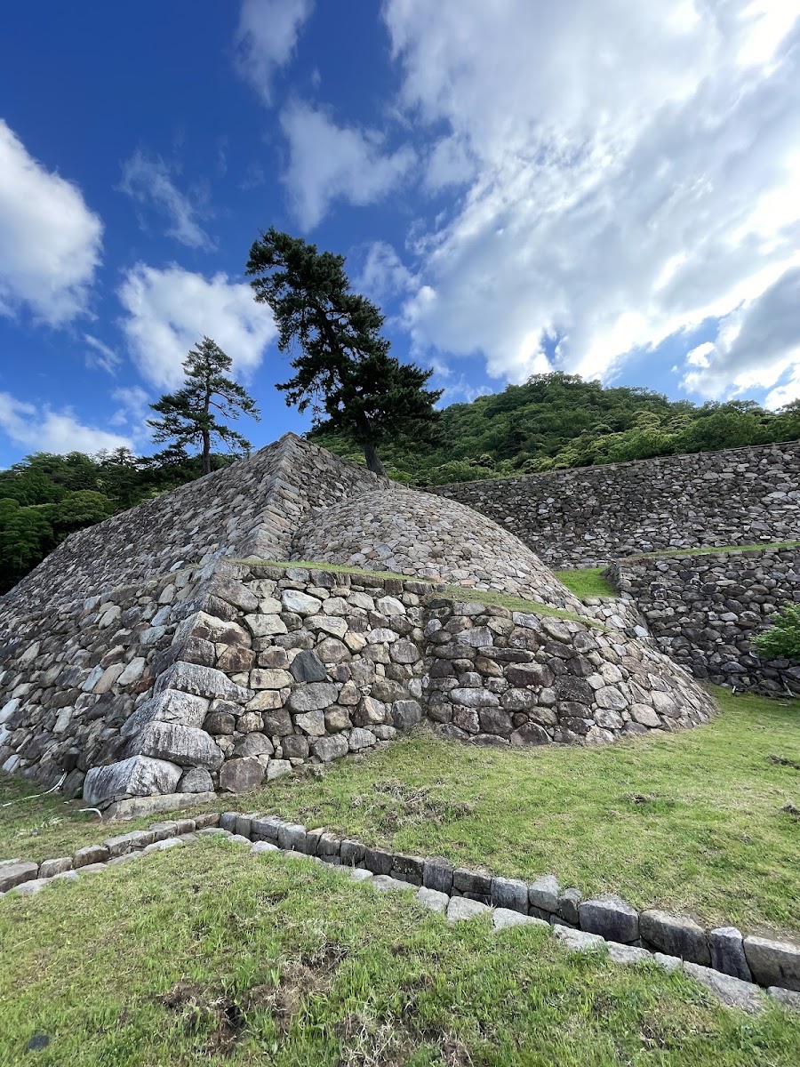 鳥取城