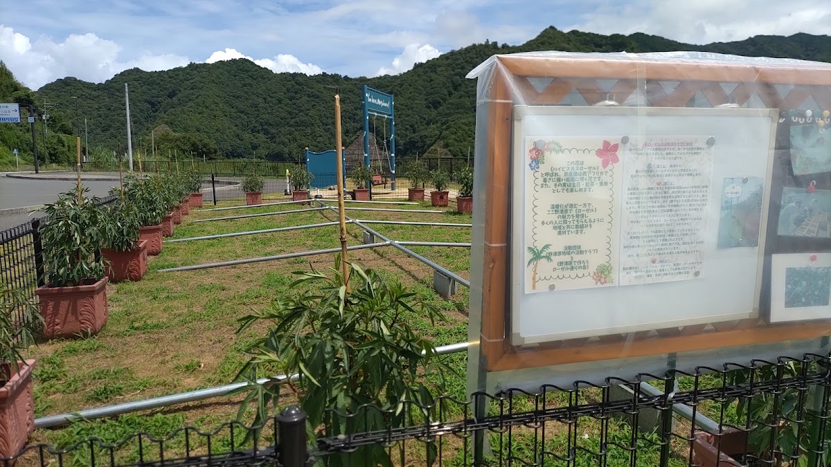 道之驛 野津原(道の駅 のつはる) 實景照片 5