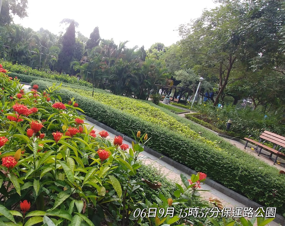 上水寶石湖路露天停車場 實景照片 6