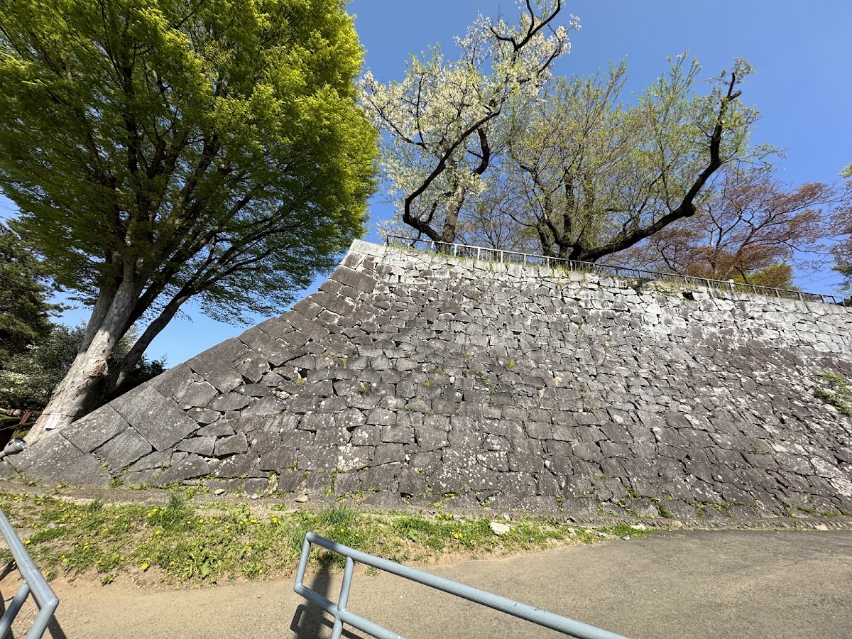藍天與綠樹下的石牆全景