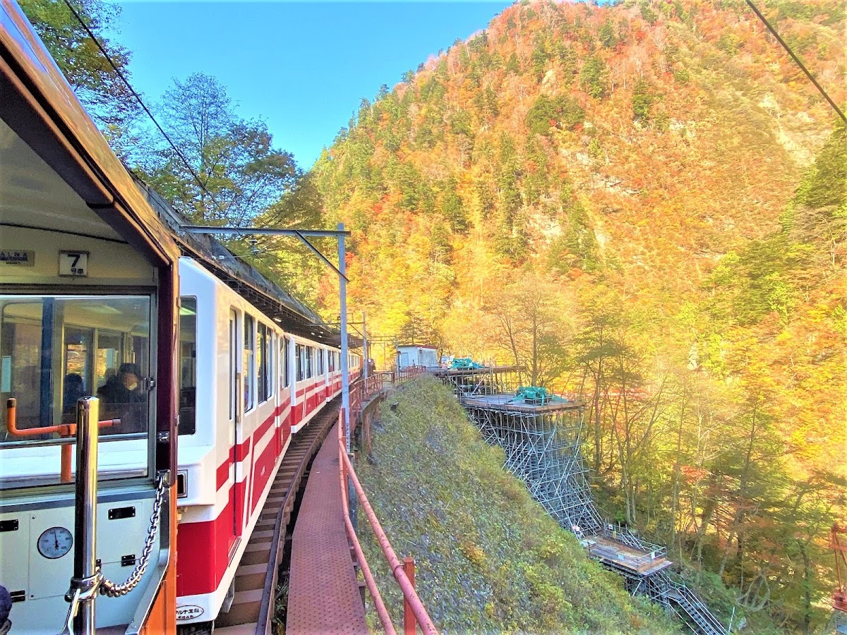 火車行駛在山間與紅葉景色