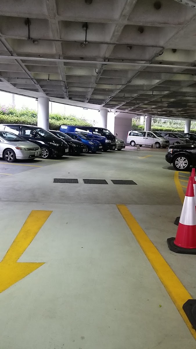 奧運大樓停車場 (掃桿埔) 實景照片 2