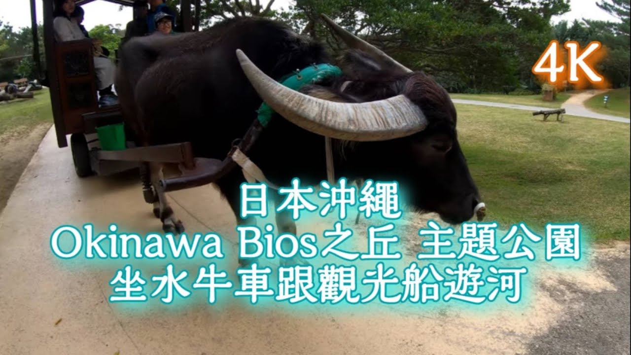 日本沖繩Okinawa bios之丘 ビオスの丘 坐水牛車跟觀光船遊河很有feel 4K畫質