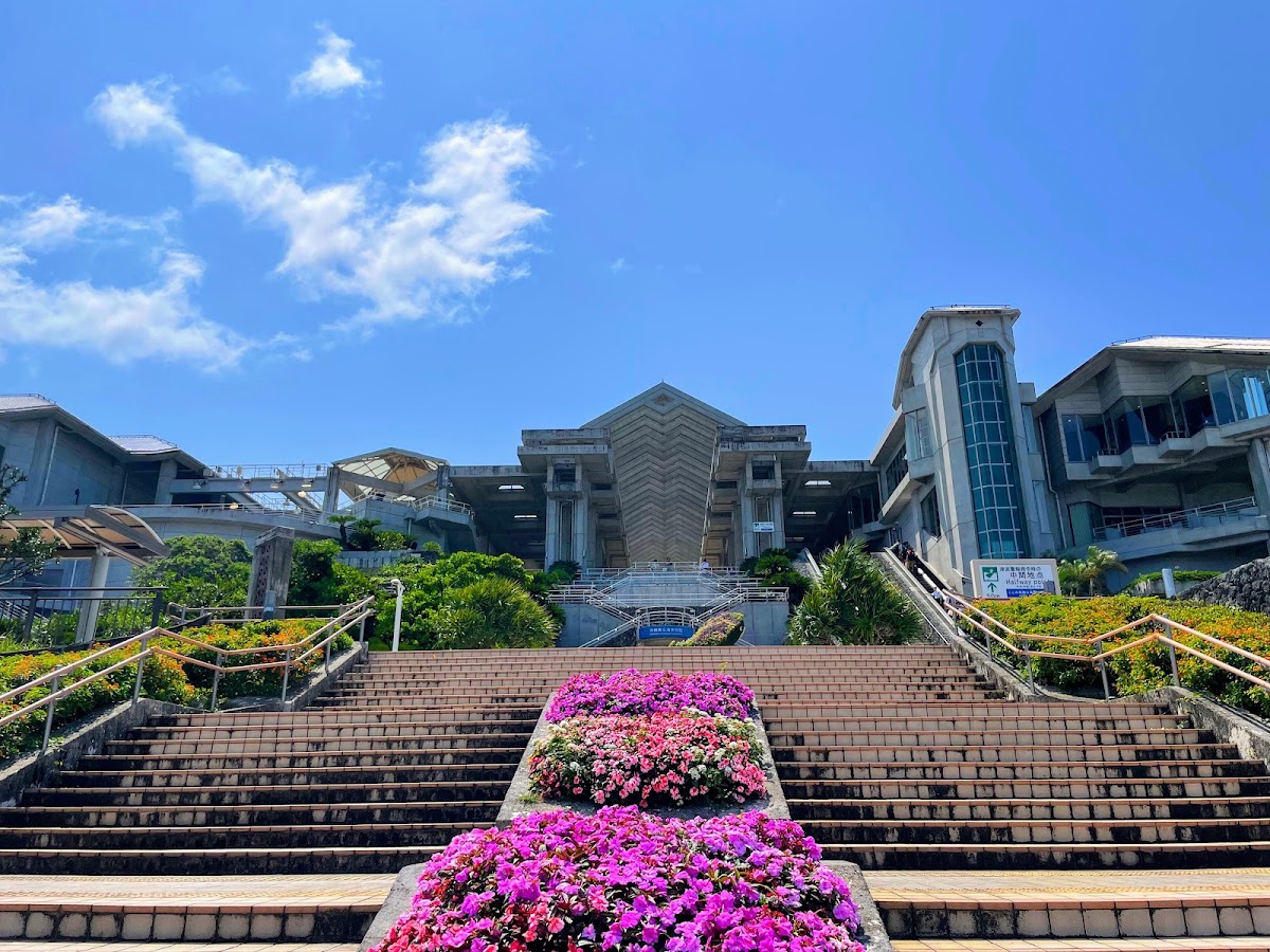 沖繩美麗海水族館(沖縄美ら海水族館) 實景照片 7