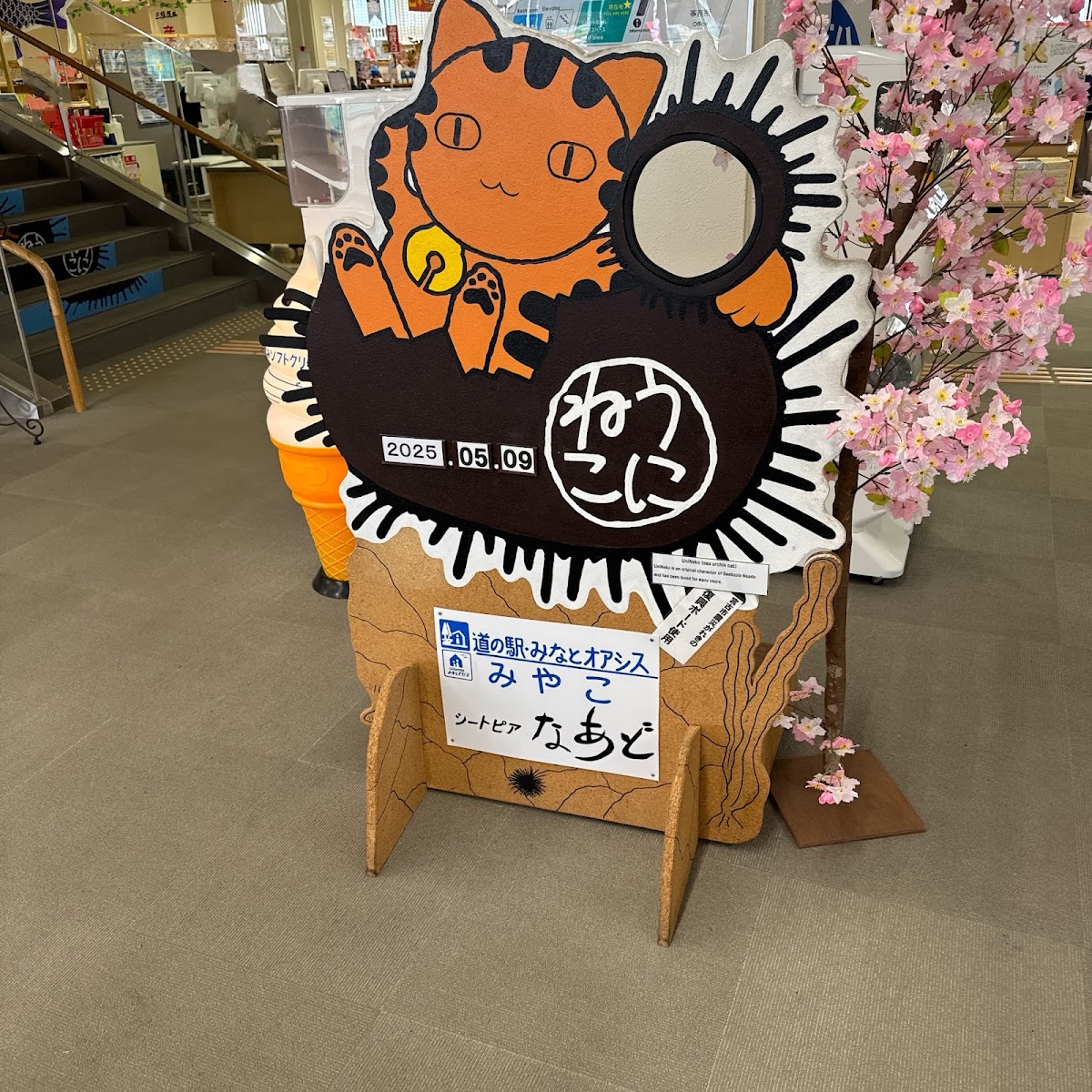 道之驛 宮古(道の駅 みやこ) 實景照片 7